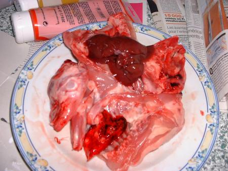  travail demandé en cours : faire une nature morte à la peinture (de la viande, c ce ki été demandé !! )